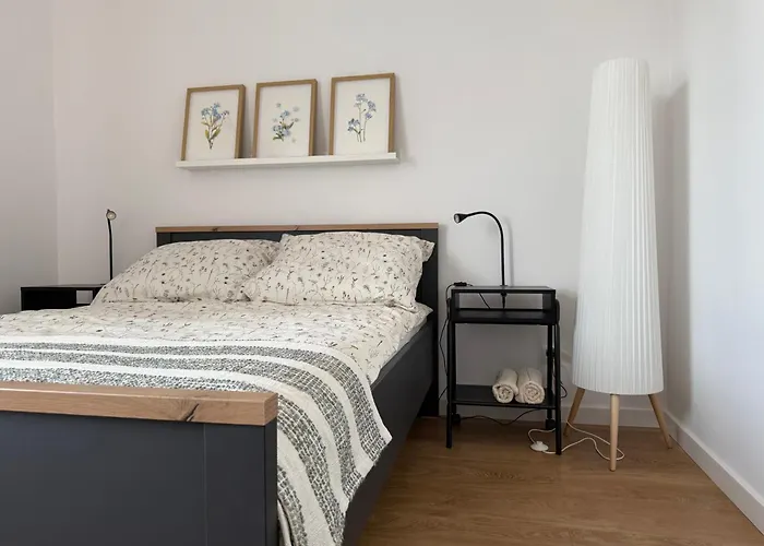 Zabie Oczko Appartement